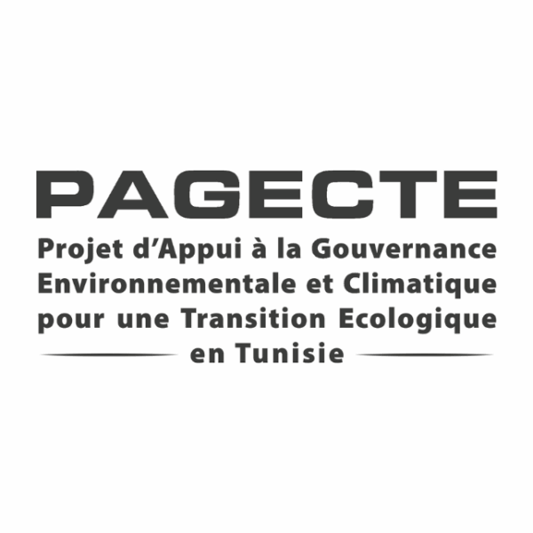 PAGECTE