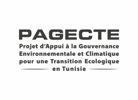 PAGECTE