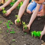 « Ecole Durable » : Apprendre autrement, vivre durablement