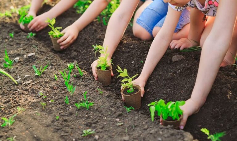 « Ecole Durable » : Apprendre autrement, vivre durablement
