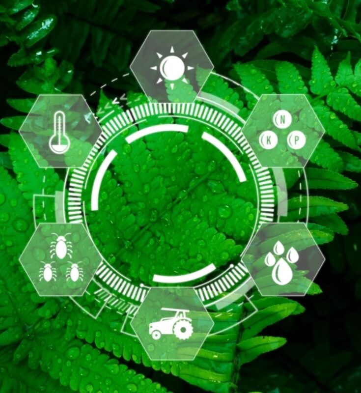 Lancement officiel de l’Initiative Greentech Tunisie : Une impulsion stratégique pour l’innovation verte